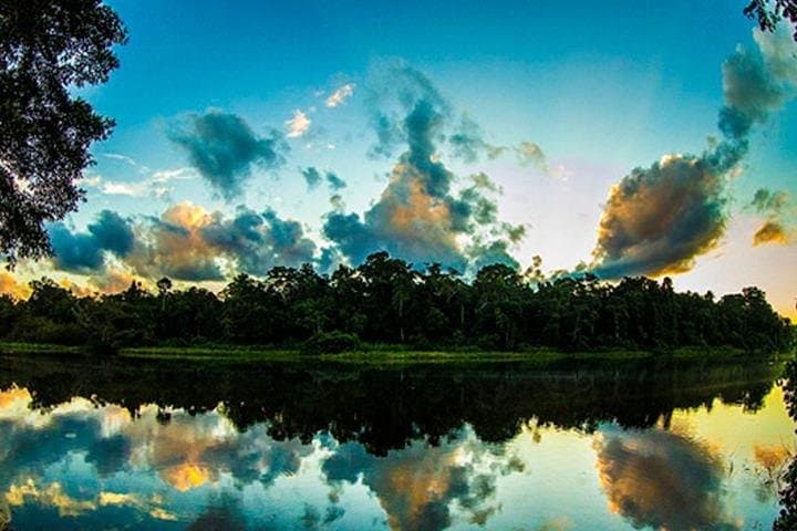 Manu Jungle Tour (3 Days) — Parrot Clay Licks, Cloud Forests & River Rafting from Cusco photo 4