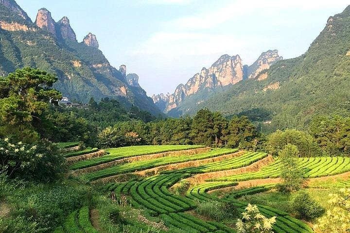 Zhangjiajie 4-Day Highlights: Glass Bridge, Tianzi Peaks & Rice Terrace Tour photo 2