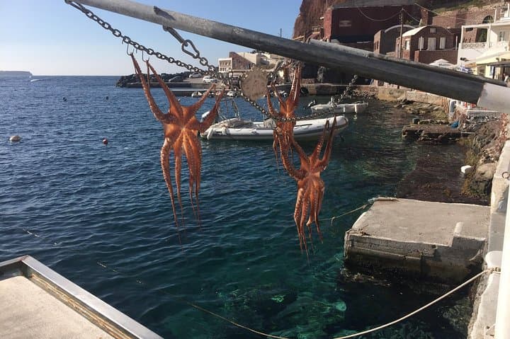 Experience Authentic Santorini: A Guided Local Tour photo 5