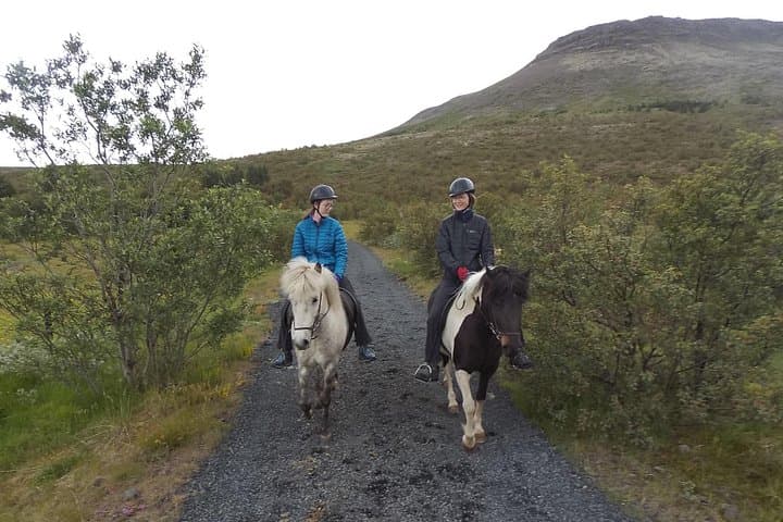 Private Icelandic Horse Riding Tour from Reykjavík to Úlfarsfell photo 4