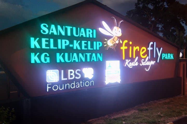 Kuala Selangor Fireflies, Eagle Feeding & Monkey Hill Private Tour photo 2