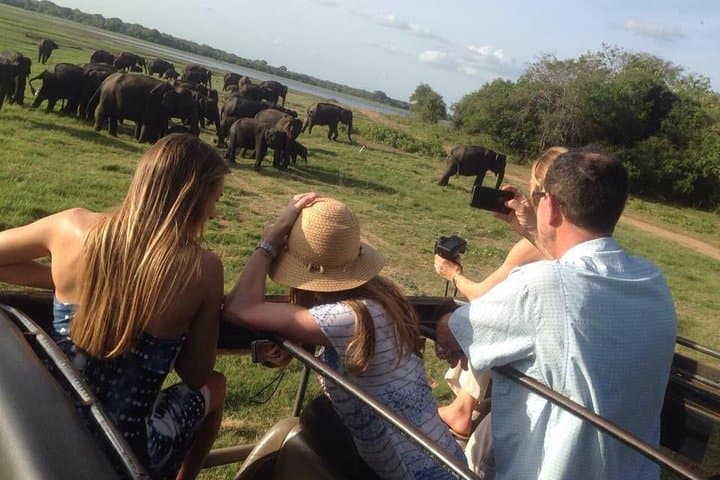 Minneriya Elephant Safari, Sigiriya Rock & Dambulla Cave Temples — Full-Day Adventure