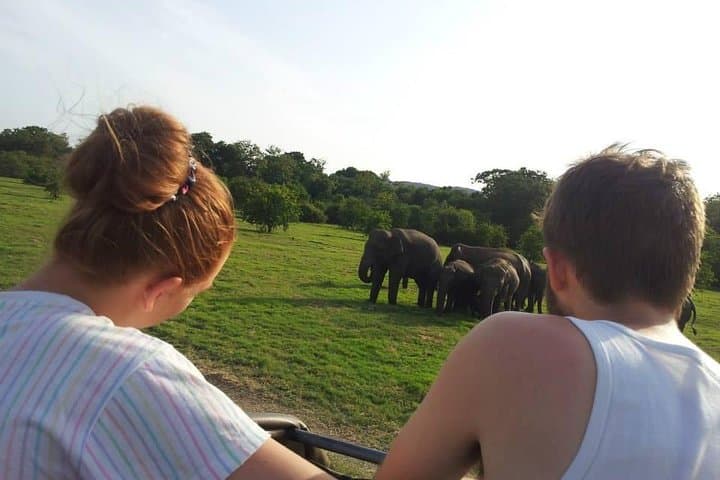 Minneriya Elephant Safari, Sigiriya Rock & Dambulla Cave Temples — Full-Day Adventure photo 5