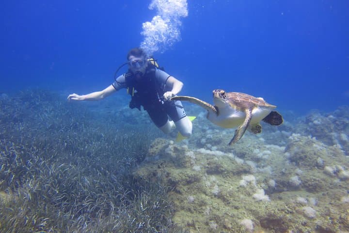Alanya Beginner Scuba Diving — Okurcalar Day Dives on the Turkish Riviera photo 4