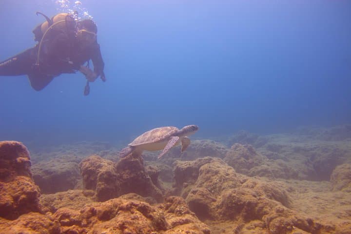 Side Scuba Diving Experience — Two Dives on the Turkish Riviera photo 4