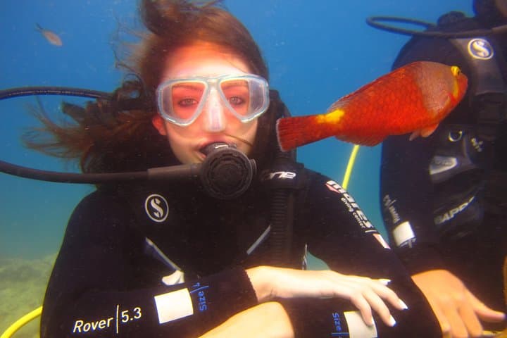 Alanya Beginner Scuba Diving — Okurcalar Day Dives on the Turkish Riviera photo 2