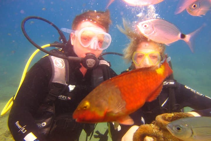 Alanya Beginner Scuba Diving — Okurcalar Day Dives on the Turkish Riviera photo 6