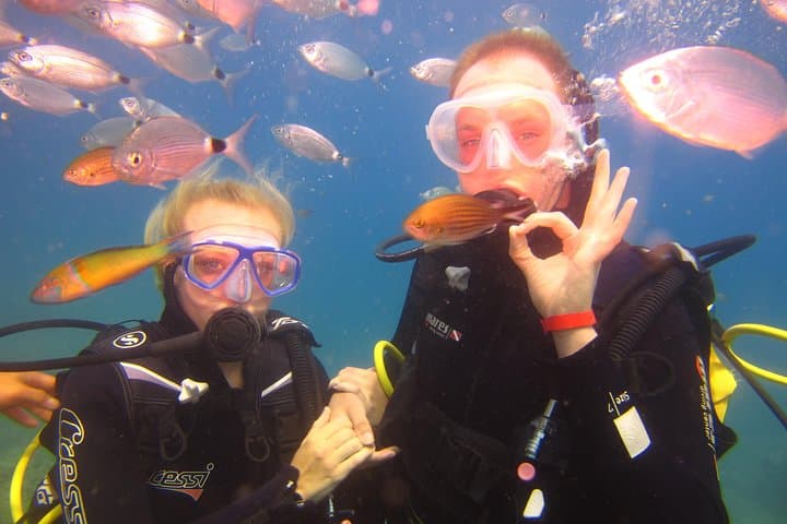 Alanya Beginner Scuba Diving — Okurcalar Day Dives on the Turkish Riviera