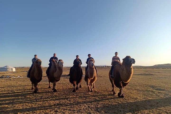 2-Day Central Mongolia: Karakorum, Nomads & Khustai National Park