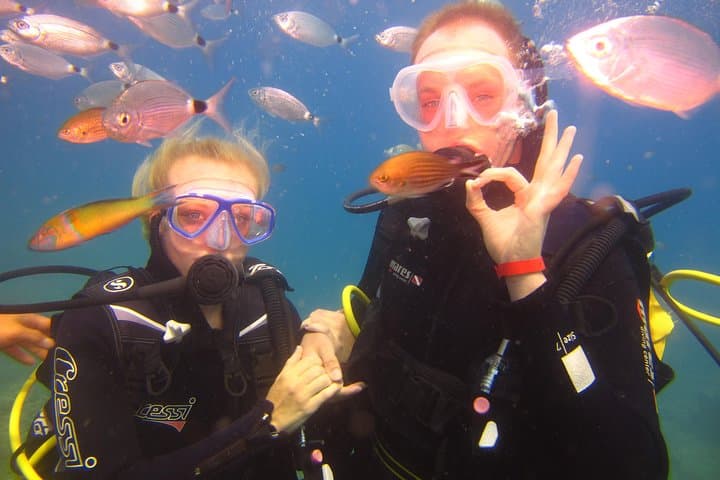 Side Scuba Diving Experience — Two Dives on the Turkish Riviera photo 6