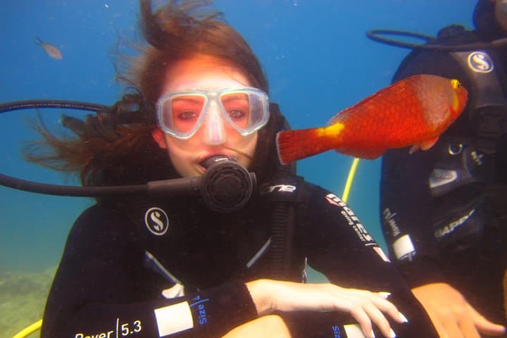 Side Scuba Diving Experience — Two Dives on the Turkish Riviera photo 2