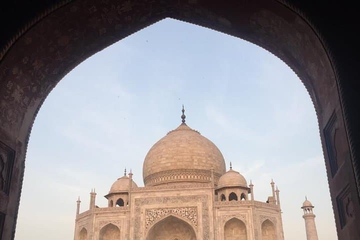 Sunrise at the Taj & Wildlife SOS Elephant and Bear Sanctuary Day Trip from Delhi