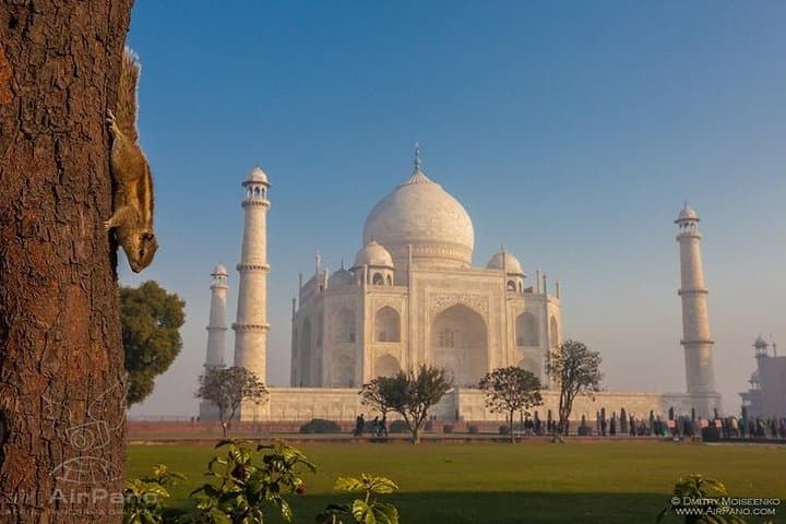 Sunrise at the Taj & Wildlife SOS Elephant and Bear Sanctuary Day Trip from Delhi photo 2