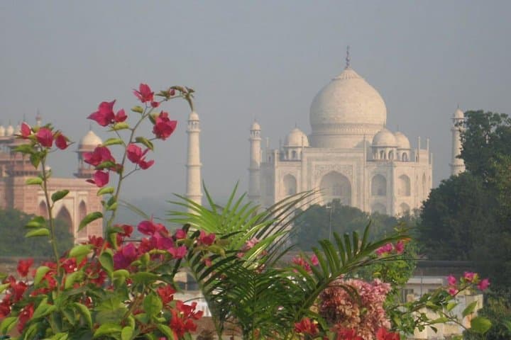 Sunrise at the Taj & Wildlife SOS Elephant and Bear Sanctuary Day Trip from Delhi photo 4