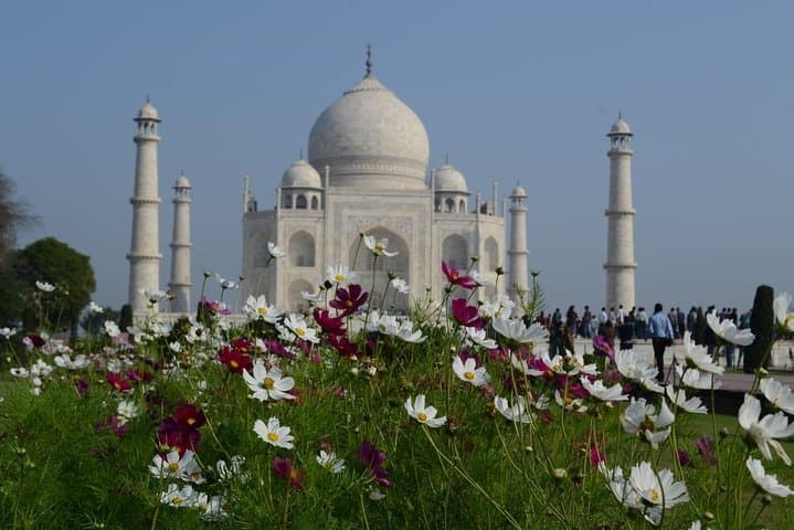 Sunrise at the Taj & Wildlife SOS Elephant and Bear Sanctuary Day Trip from Delhi photo 6