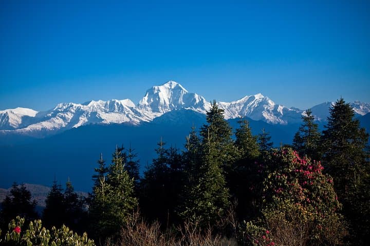 Australian Camp Overnight Trek from Pokhara: 2-Day Short Trek with Himalayan Views