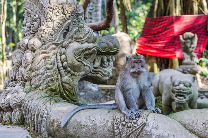 Full-Day Ayung River White Water Rafting and Ubud Tour — Raft the Ayung, Visit Monkey Forest & Waterfalls photo 6