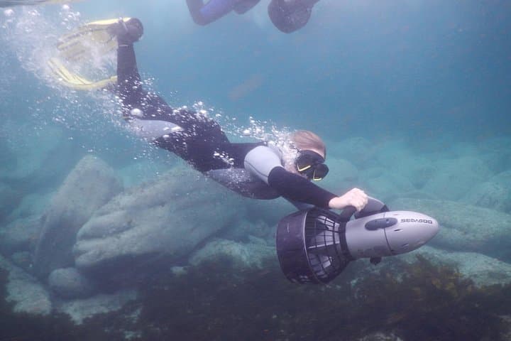 Sydney Underwater Scooter Tours at Gordon's Bay — Guided 90-Min Marine Adventure photo 4