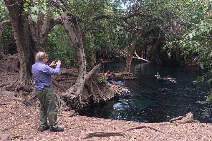 Materuni Waterfalls, Coffee Tour & Kikuletwa Hot Springs Day Trip from Moshi photo 1