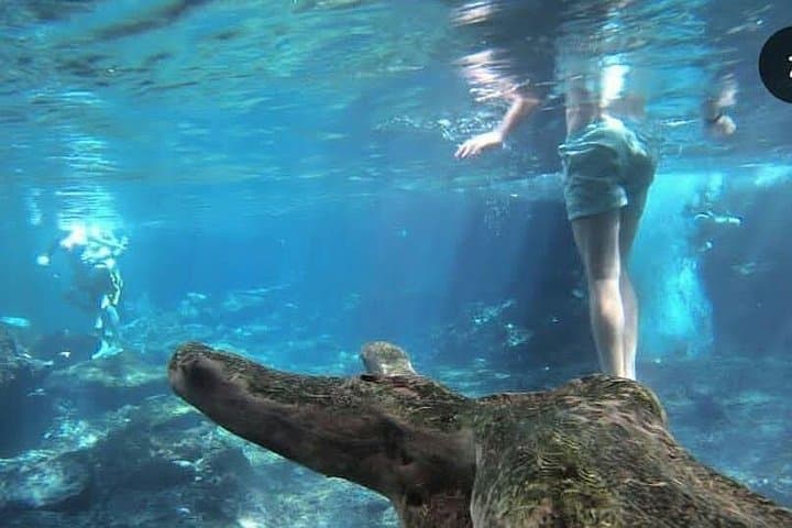 Materuni Waterfalls, Coffee Tour & Kikuletwa Hot Springs Day Trip from Moshi photo 2