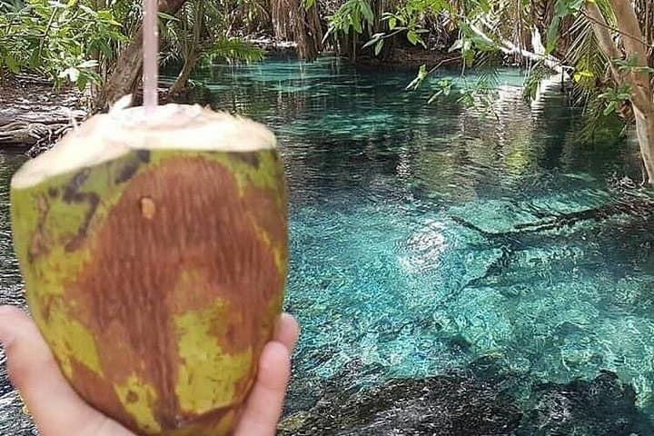 Materuni Waterfalls, Coffee Tour & Kikuletwa Hot Springs Day Trip from Moshi photo 4