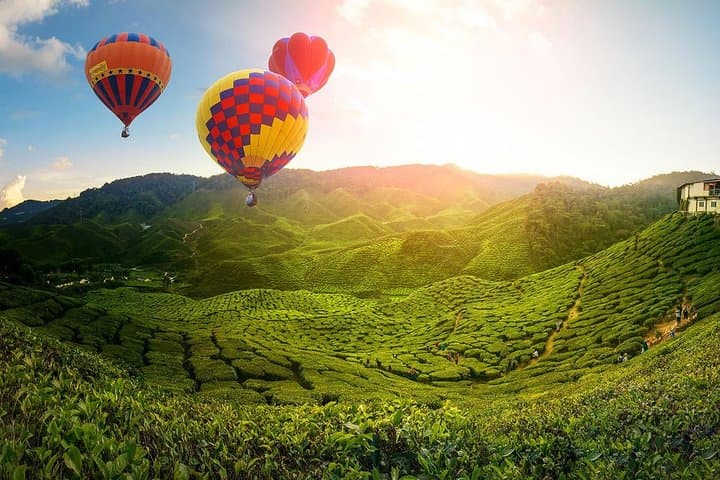 2-Day Cameron Highlands, Batu Caves & Kuala Selangor Fireflies — Tea Hills to Twilight Glows photo 1