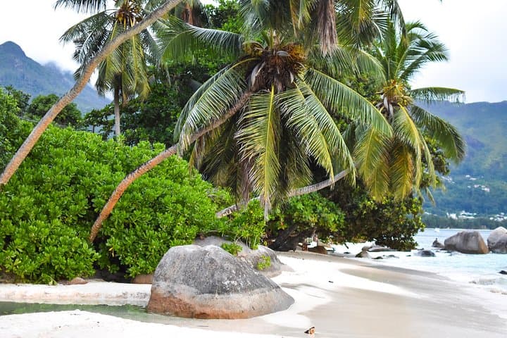 Private Full-Day Mahe Island Tour: Beaches, Peaks & Creole Culture photo 4