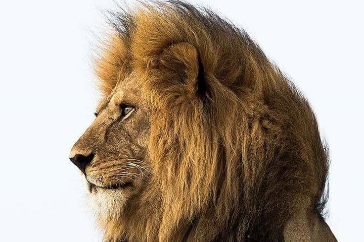 3-Day Tarangire, Ngorongoro Crater & Lake Manyara Safari photo 3