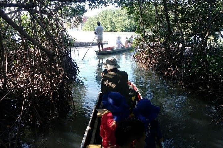 Totumo Volcano Mud Bath & Mangrove Fishing Tour from Cartagena photo 3