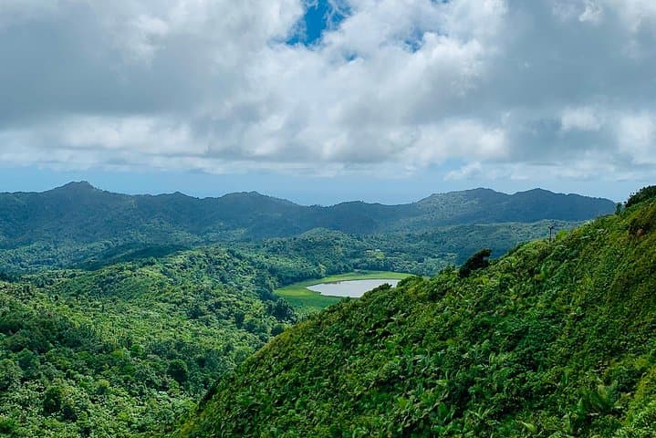 Mount Qua Qua Hike: Grand Etang Rainforest Trek to the Crater Peak, Grenada photo 2