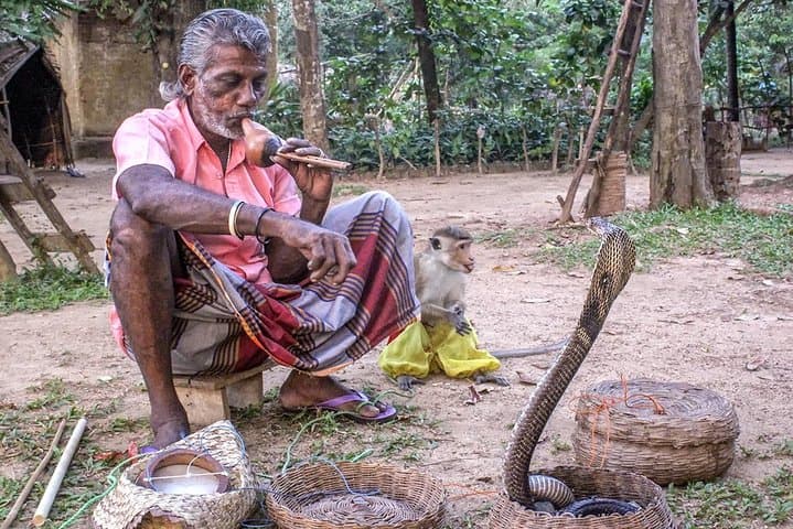Colombo City Tour Highlights — Private Shore Excursion & Cultural Sights photo 5