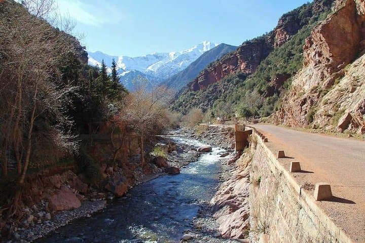 Ourika Valley & Setti Fatma Waterfalls: Private Day Trip from Marrakech photo 3