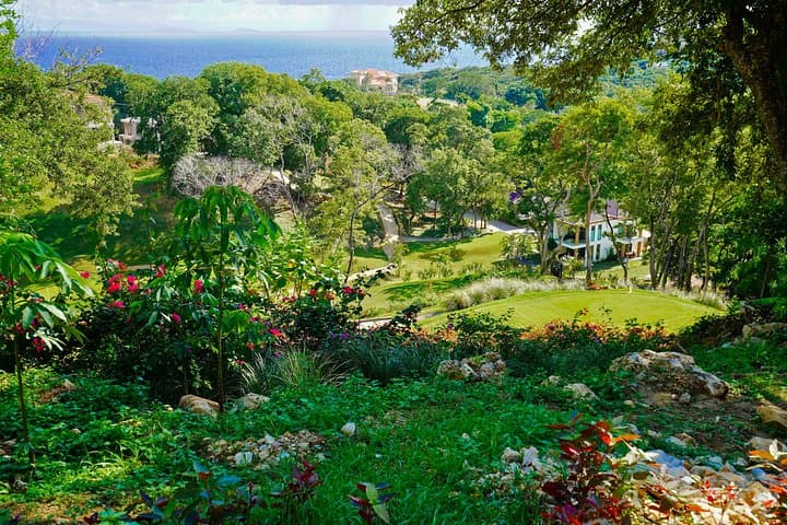 Roatan Golf Day at The Black Iguana: Challenging Par-3 Course Near West Bay Beach photo 3