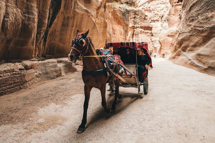 Petra in a Day: Cruise-Friendly Guided Visit to the Treasury, Royal Tombs & Monastery photo 2