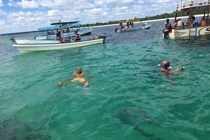 Safari Blue Malindi: Dolphin Cruise, Snorkel & Seafood Lunch