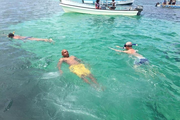 Safari Blue Malindi: Dolphin Cruise, Snorkel & Seafood Lunch photo 3
