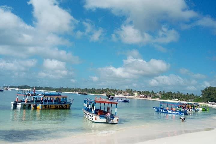 Safari Blue Malindi: Dolphin Cruise, Snorkel & Seafood Lunch photo 6