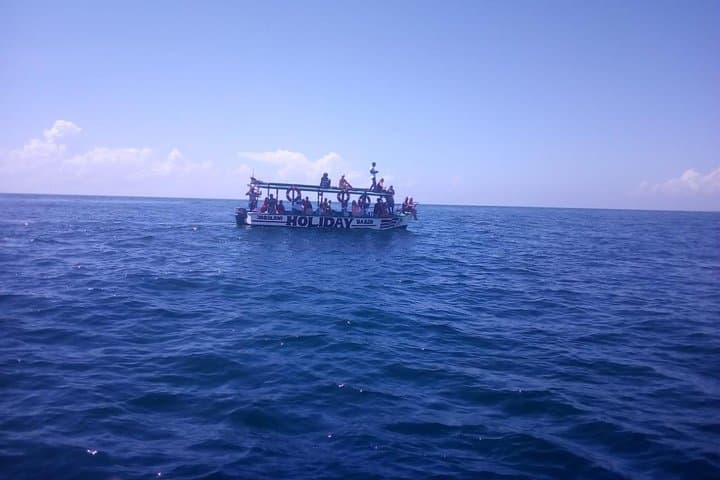 Safari Blue Malindi: Dolphin Cruise, Snorkel & Seafood Lunch photo 2