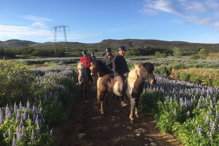 Private Icelandic Horse Ride to Lake Hafravatn from Reykjavík photo 4