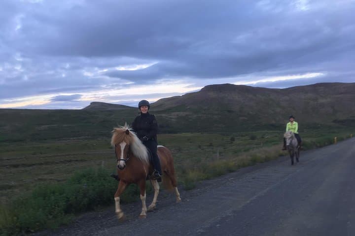 Private Icelandic Horse Ride to Lake Hafravatn from Reykjavík photo 5