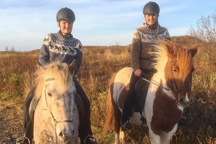 Private Icelandic Horse Ride to Lake Hafravatn from Reykjavík
