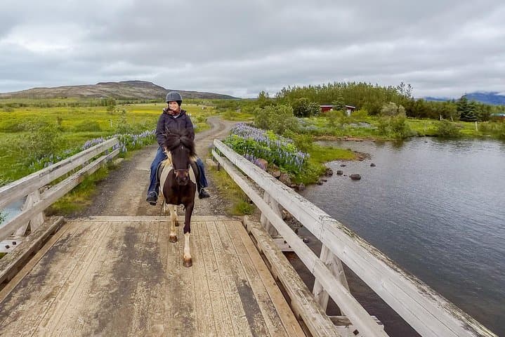 Private Icelandic Horse Ride to Lake Hafravatn from Reykjavík photo 6