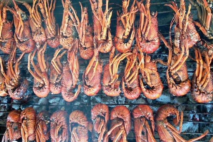 Safari Blue Malindi: Dolphin Cruise, Snorkel & Seafood Lunch photo 4
