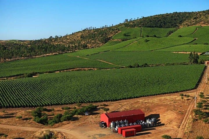 Polkura Vineyard Tasting in Colchagua Valley — Marchigüe Wine Tour photo 2
