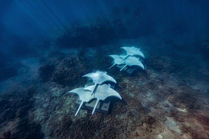 Private Whitsundays Charter from Hamilton Island — Custom Snorkel, Beaches & Bays photo 5