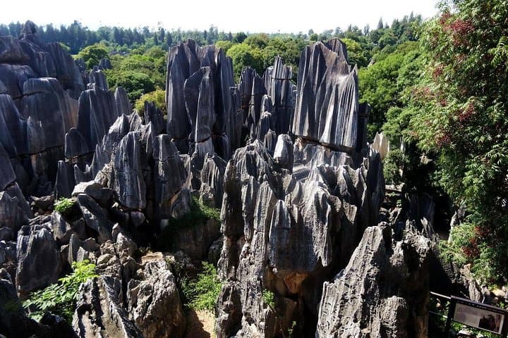 Five-Day Kunming & Luoping: Canola Fields, Stone Forest and Nine-Dragon Waterfall photo 4