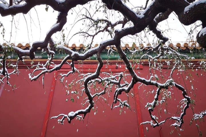 Beijing to Shanghai in 4 Days: Great Wall, Forbidden City & The Bund photo 4