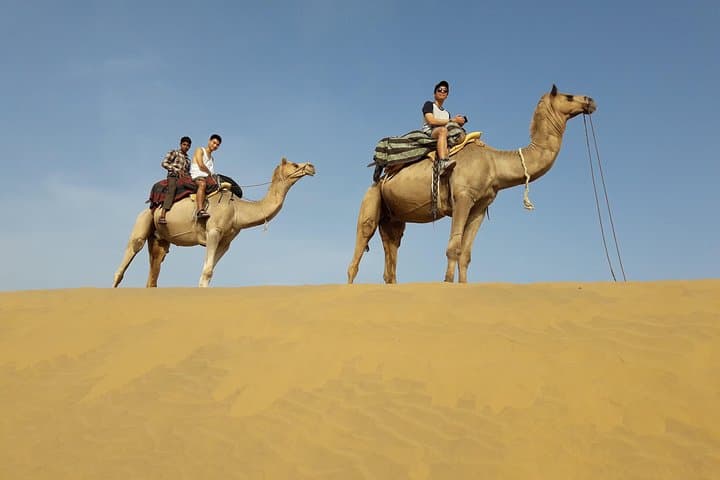 Osian Sunset Camel Safari and Sachiya Mata Temple Walk — Half-Day Desert Experience