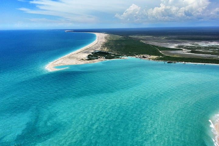 Broome to Mitchell Falls Air Tour: Horizontal Falls, Montgomery Reef & Cygnet Bay photo 4