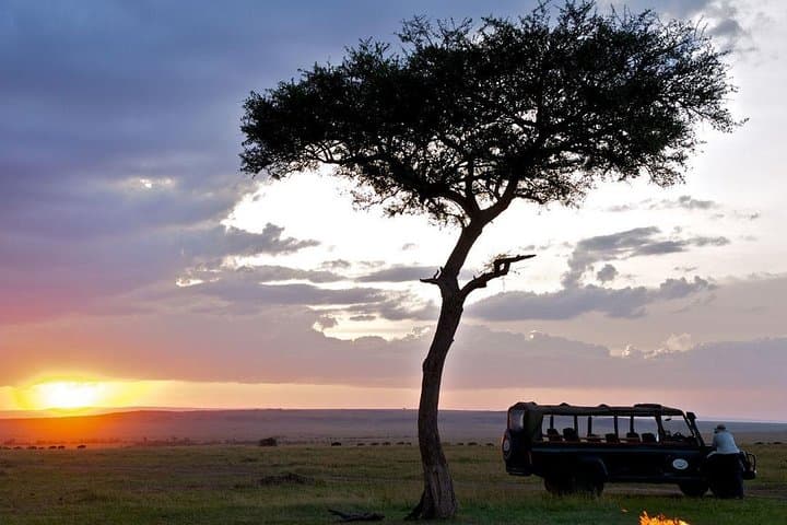 3-Day Masai Mara Safari by Air from Nairobi — Fly-In Big-Game Experience photo 5